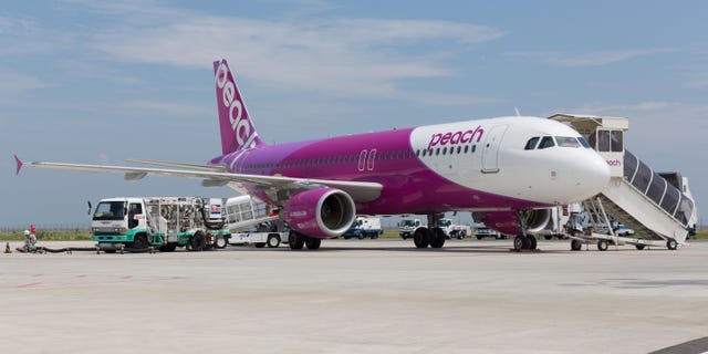 According to reports, the passenger refused to put a mask on before the plane took off.