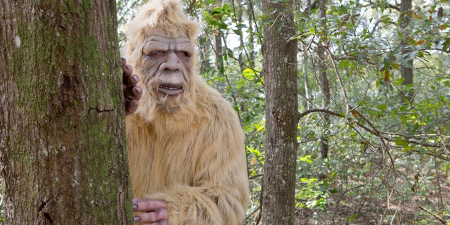 An Oklahoma lawmaker has pitched a bill to create a bona fide Bigfoot hunting season in the Sooner State.