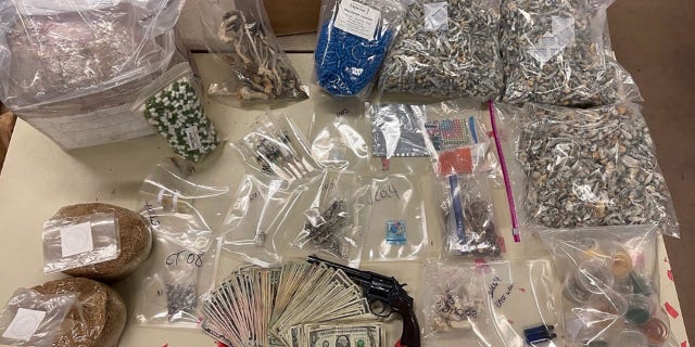 Detectives in California seized over $ 1 million in various hallucinogenic drugs and other illicit narcotics from a residential home that was also operating as a drug lab, authorities said.