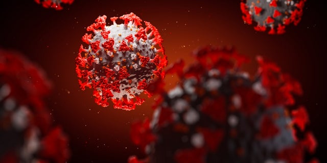 The variant strain comprises three mutations on the spike surface proteins of the virus.  (iStock)