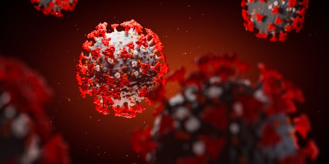 The variant strain comprises three mutations on the spike surface proteins of the virus.  (iStock)