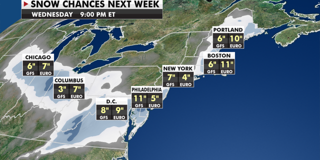 Expected snowfall next week. (Fox news)