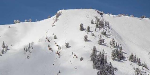Utah skier buried after triggering avalanche in backcountry, officials say, as rescue efforts continue - Fox News