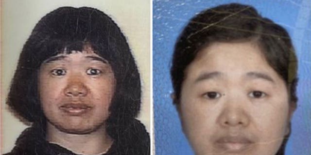 'Alice' Yu Xie, a Chinese national, has been identified as the woman found dead in Yosemite National Park on Jan.16, the same day she was reported missing, officials said.  (NATIONAL PARK SERVICE)