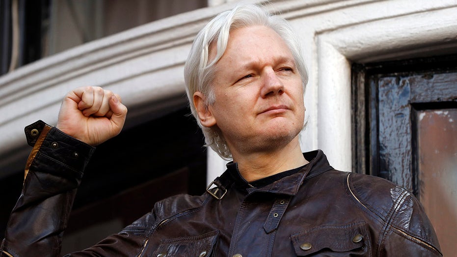 UN torture expert urges UK to halt Julian Assange’s US extradition over fears of torture, human rights abuses