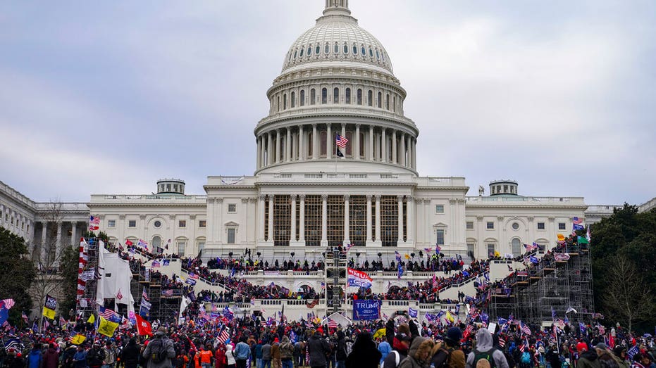 DOJ inspector general does not deny FBI informants were among Jan 6 crowd thumbnail