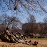 Members of the National Guard take a break while guarding the U.S. Capitol on Capitol Hill in Washington, Thursday, Jan. 14, 2021. (AP Photo/Andrew Harnik)