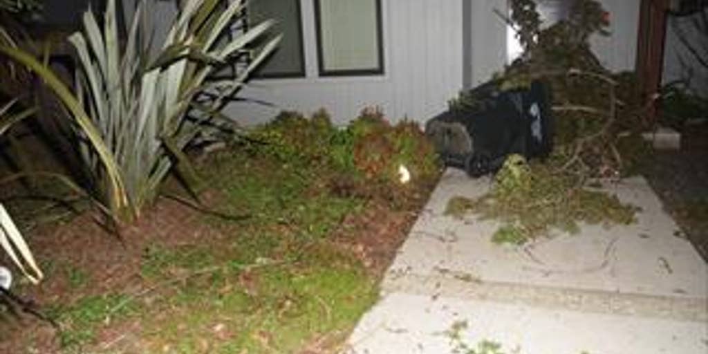 Sacramento mayor condemns protesters who vandalized his home - Vimarsana News