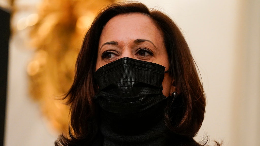 Biden tapped Harris to handle migrant surge, but not policy?