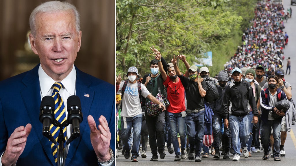 EXCLUSIVE: Ex-border officials plead for help, Biden admin denies catastrophe