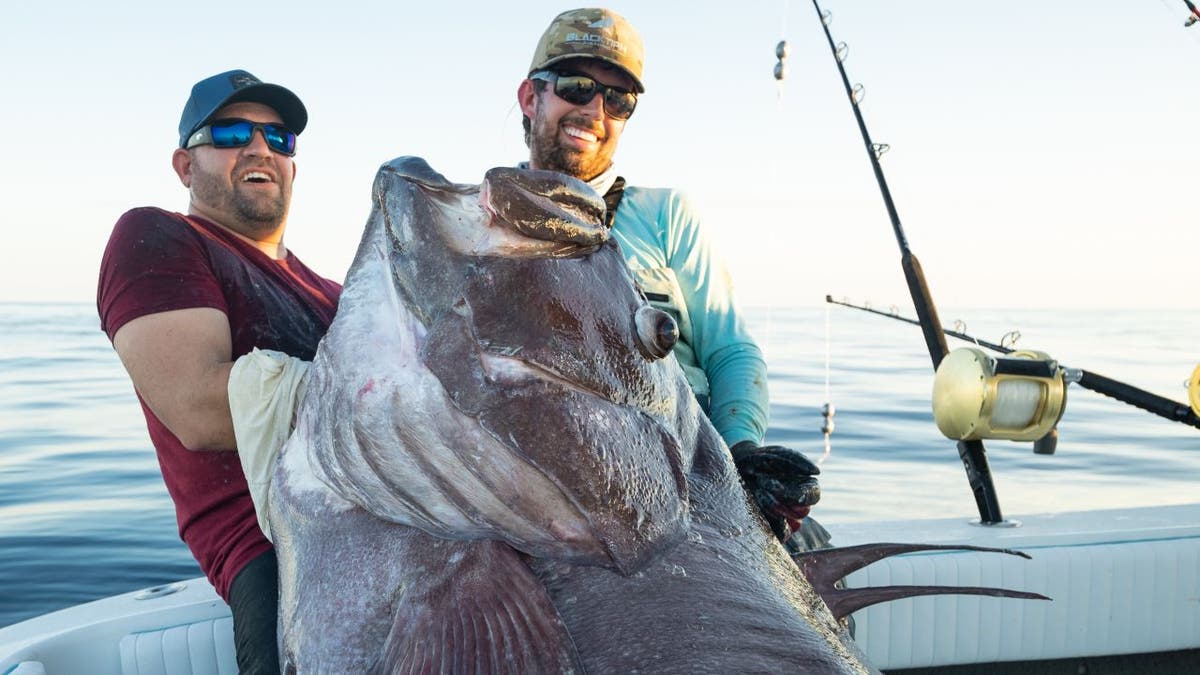 The World's Two Largest Supertrawlers Spotted Fishing off the West