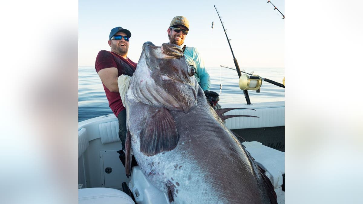 The two anglers reportedly reeled in the fish in less than a half hour. (BlacktipH Fishing Show)