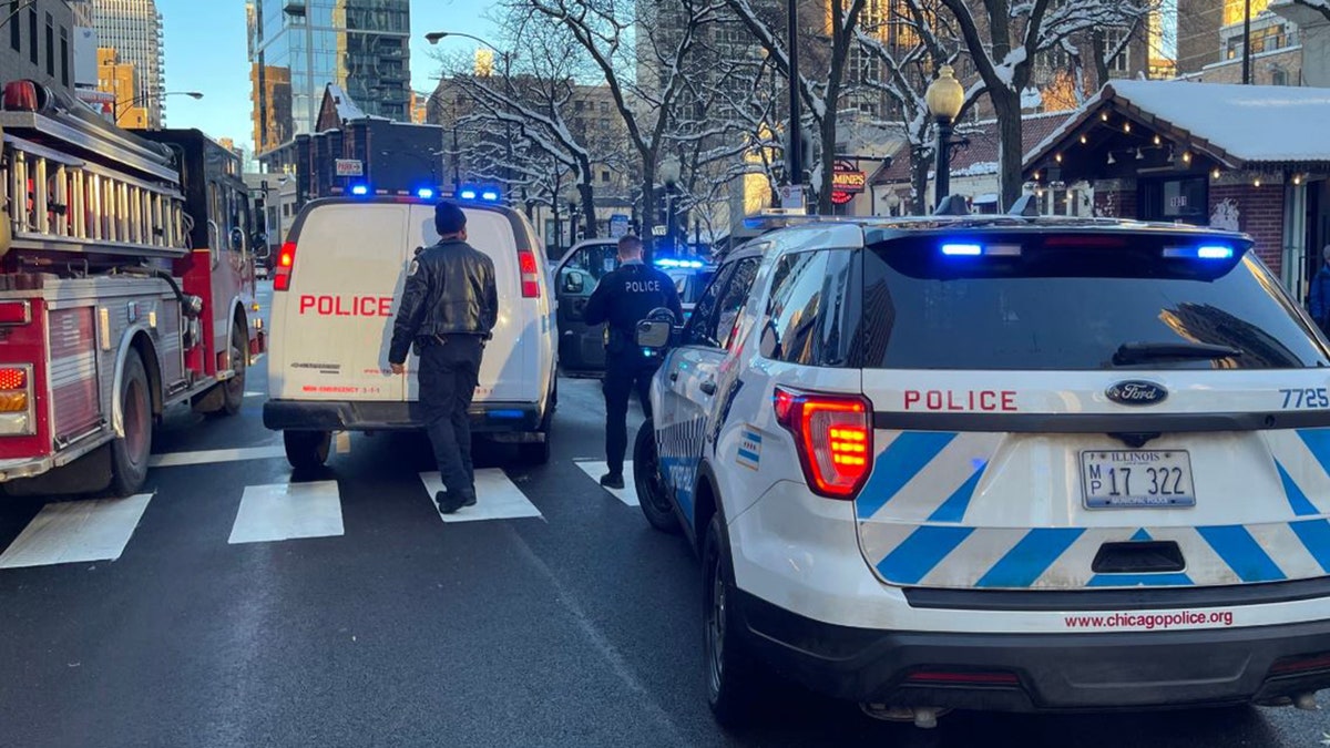 Two Chicago police officers were shot Monday while breaking up Fourth of July crowds setting off fireworks, authorities said.