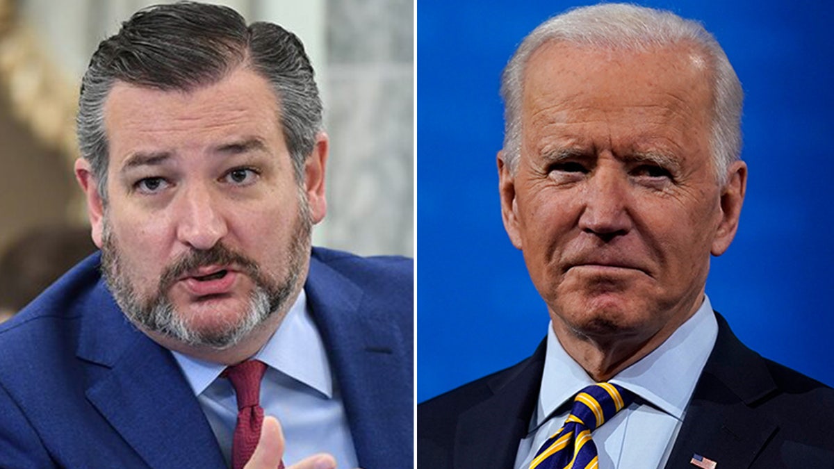 Sen. Ted Cruz Issues Chilling Warning On Biden-appointed ‘Iranian Spies ...