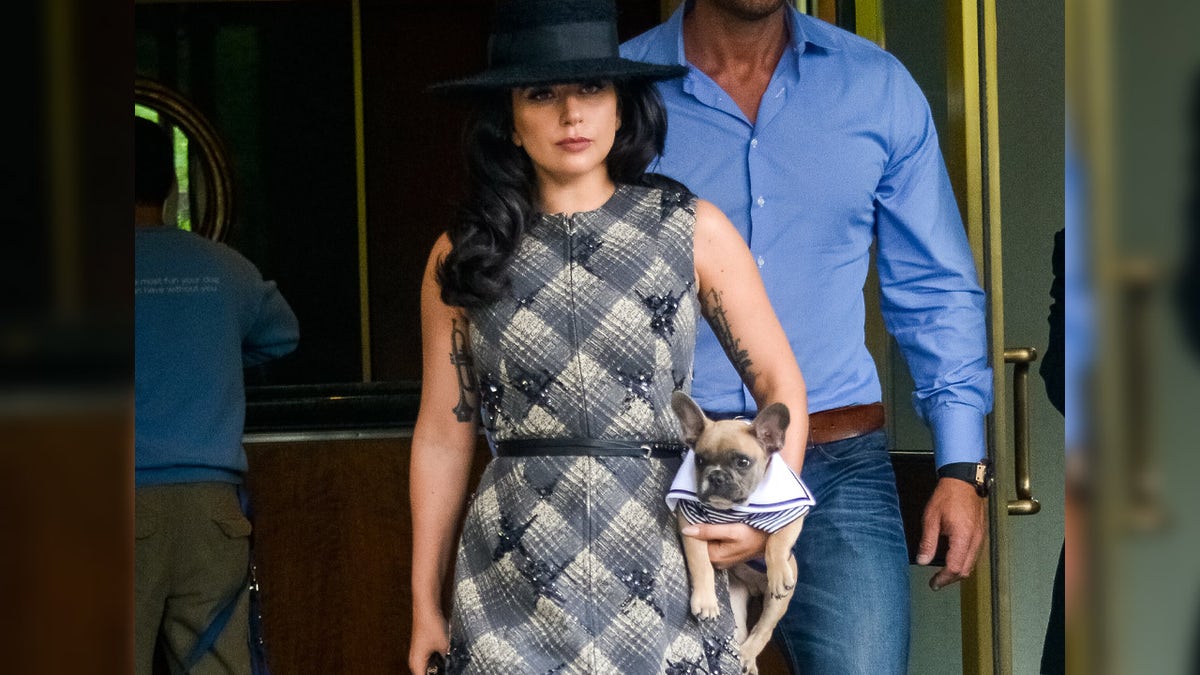 A photo of Lady Gaga carrying her dog