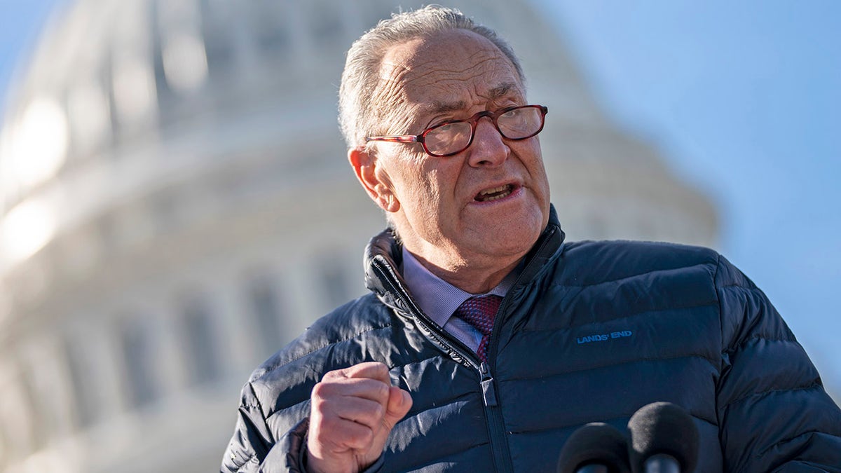Senate Majority Leader Chuck Schumer (D-NY) speaks during a press conference about student debt outside the U.S. Capitol on February 4, 2021 in Washington, DC. (Photo by Drew Angerer/Getty Images)