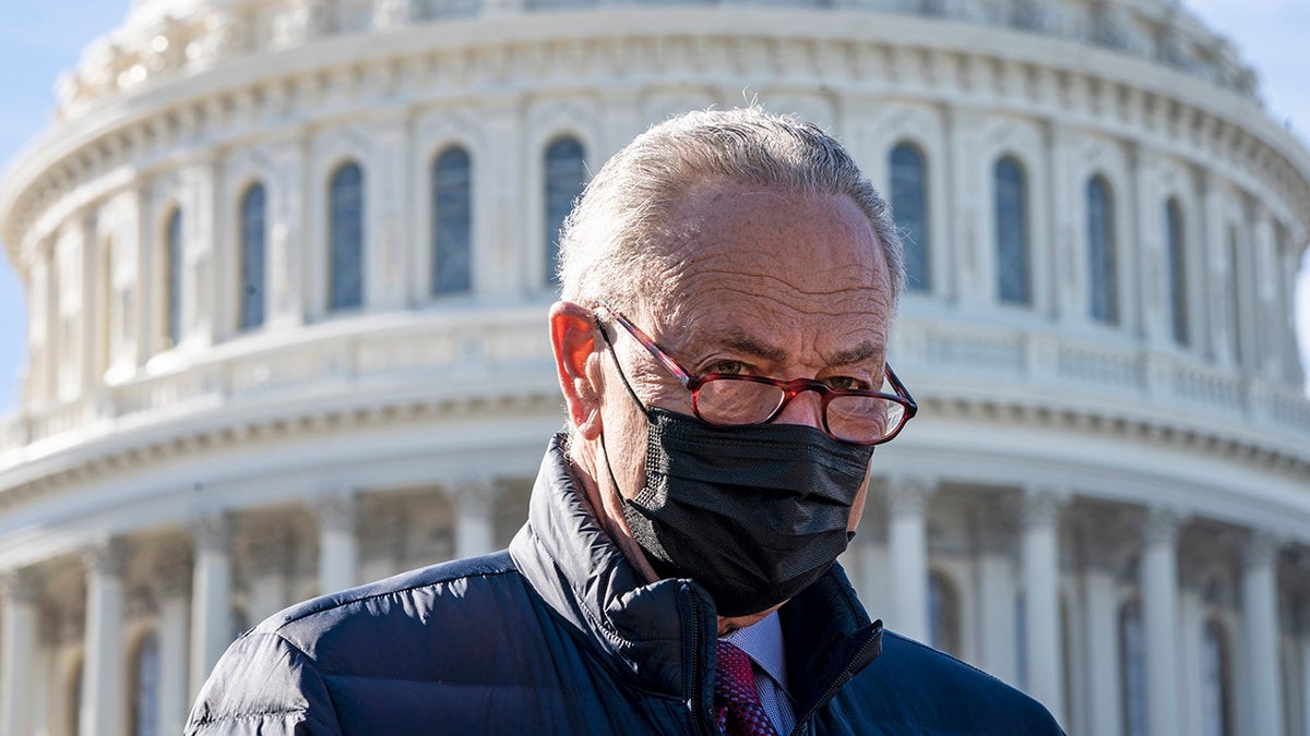 Senate Majority Leader Chuck Schumer (D-NY) speaks during a press conference about student debt outside the U.S. Capitol on Feb. 4, 2021 in Washington, D.C. (Photo by Drew Angerer/Getty Images)