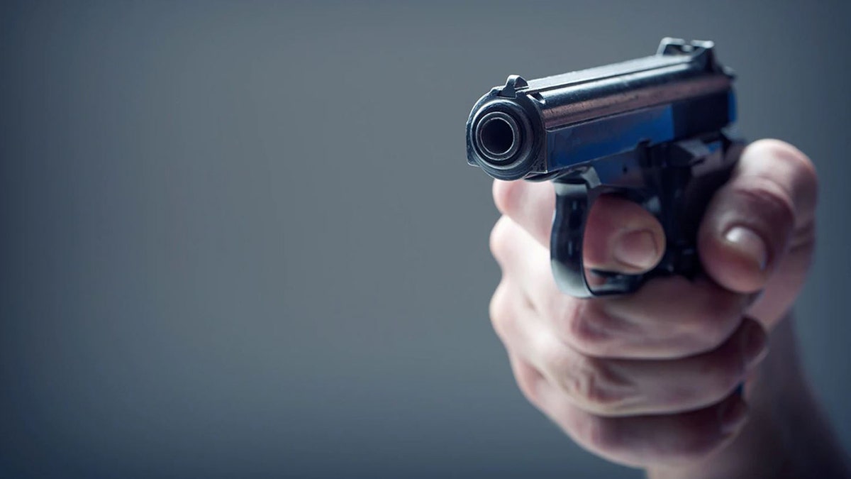 gun generic image