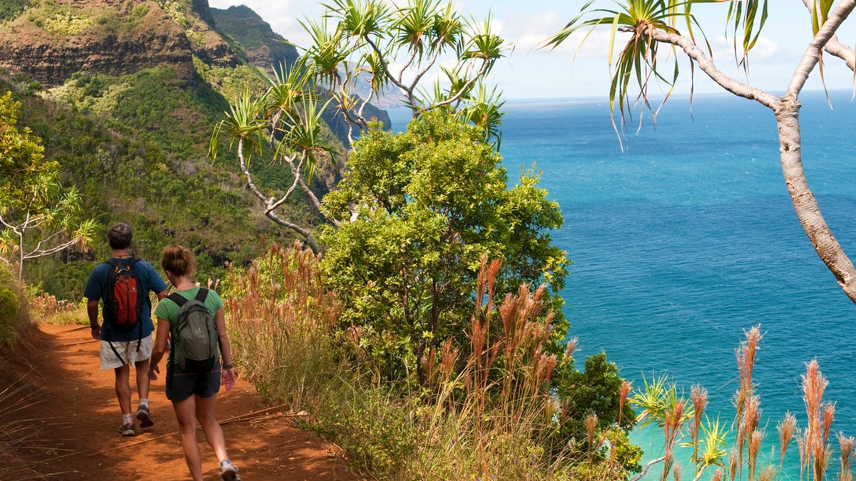 Hawaiian lawmakers are considering a bill that would require hikers who don’t follow trail signs to reimburse rescue teams if they need to be saved. (iStock)