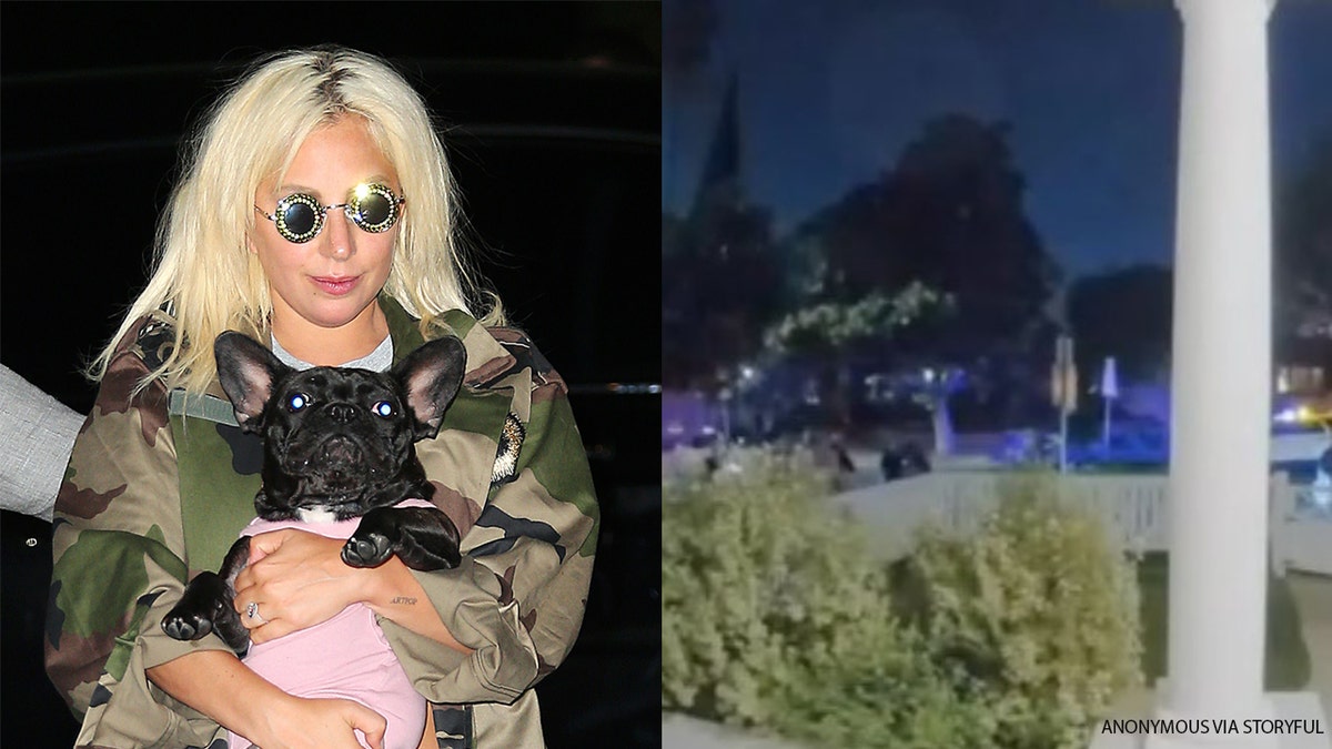 Lady Gaga and her dog, Miss Asia, who was not stolen.