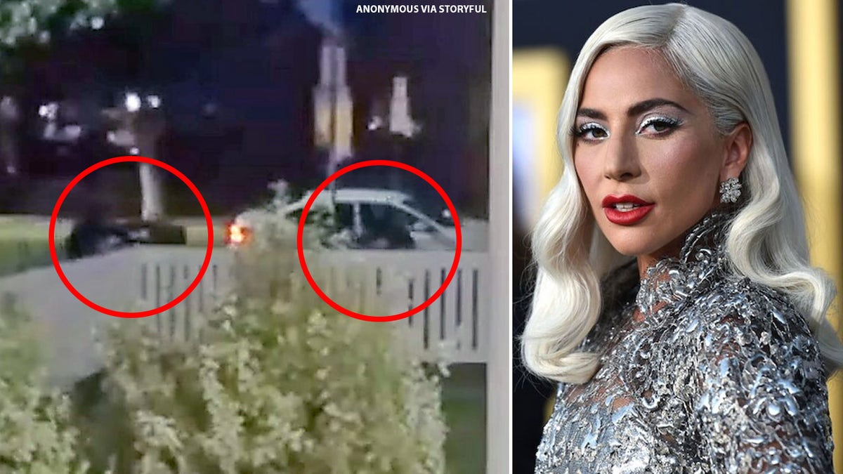 Footage of Lady Gaga's French bulldogs getting stolen