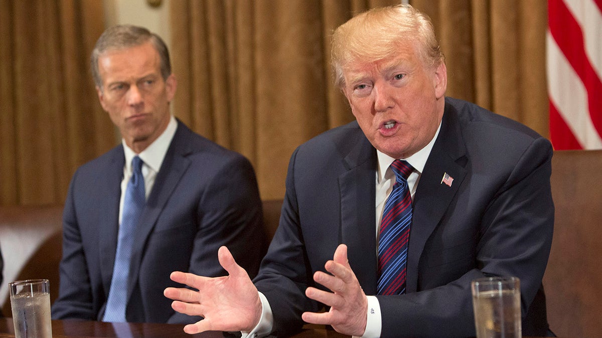 U.S. President Donald Trump participates in a meeting on trade with governors and members of Congress at the White House on April 12, 2018 in Washington, DC. Seated left is Sen. John Thune (R-SD). (Photo by Chris Kleponis - Pool/Getty Images)
