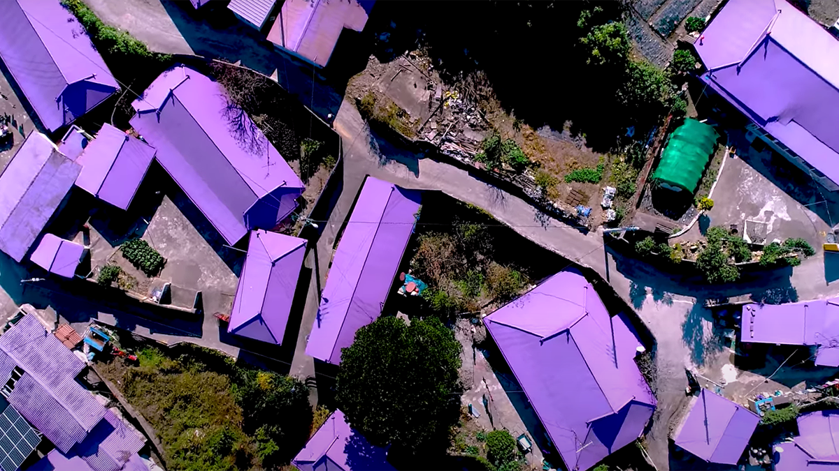 Shades of the secondary hue dominate the isle in the South Jeolla Province, as seen across 400 purple rooftops.