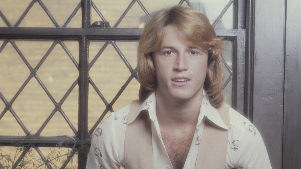 Singer Andy Gibb died in 1988. 