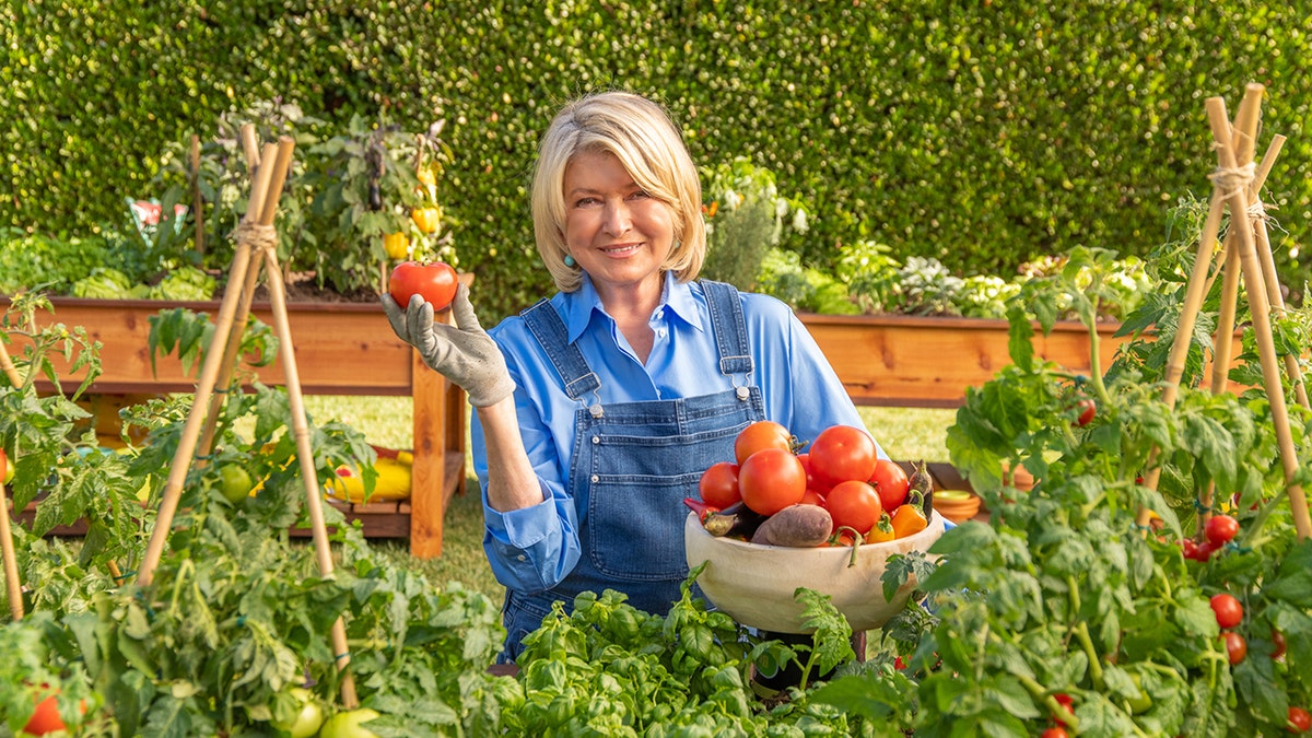 Martha Stewart also makes a guest appearance in the commercial.