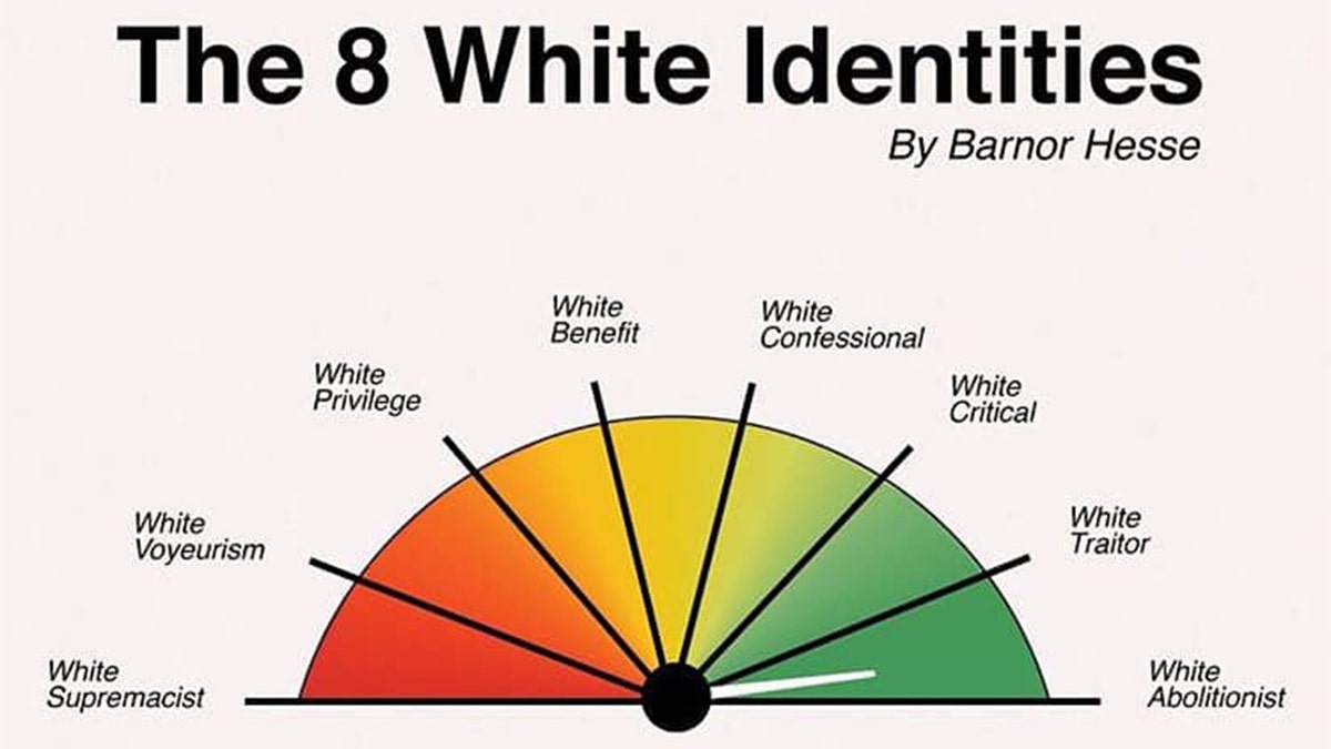 "The Eight White Identities" written by Northwestern University associate professor Barnor Hesse.