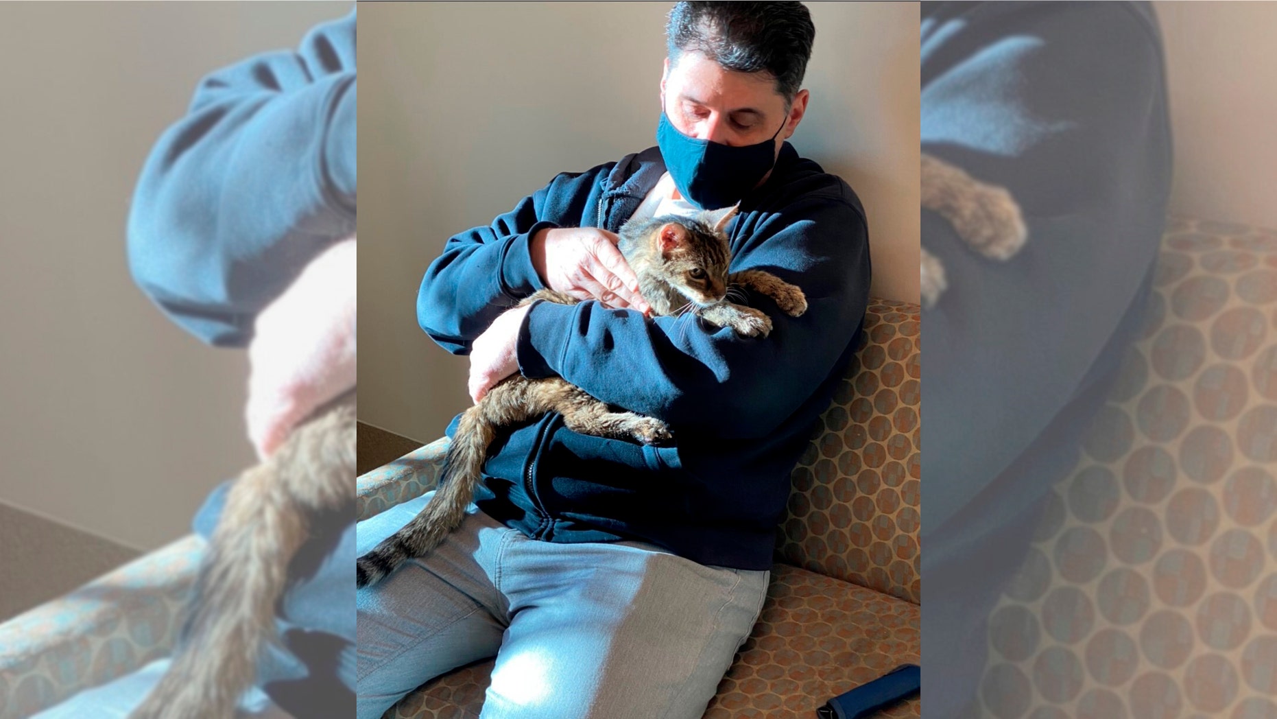 Brandy, seekor kucing kucing coklat, dipertemukan kembali pada 22 Februari dengan pemiliknya, Charles, setelah dia tersesat selama 15 tahun.