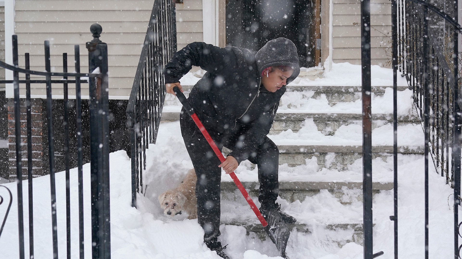 Skye DeJesus shovels her stairs while her dog Gordo pokes around in the snow in Jersey City, N.J., Monday, Feb. 1, 2021. A sprawling, lumbering winter storm is walloping the Eastern U.S., shutting down coronavirus vaccination sites, closing schools and halting transit. (AP Photo/Seth Wenig)