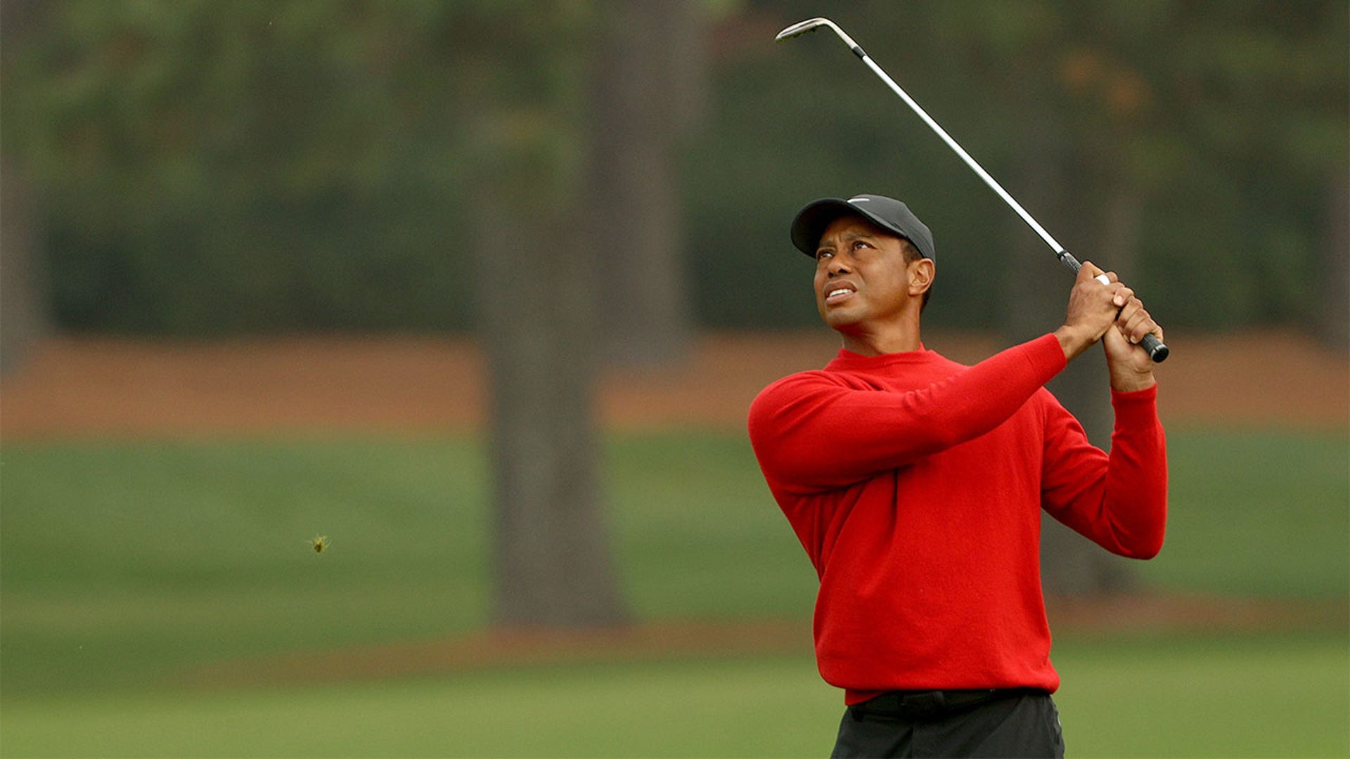 AUGUSTA, GEORGIA: Tiger Woods plays a shot on the second hole during the final round of the Masters at Augusta National Golf Club on November 15, 2020 in Augusta, Georgia. (Photo by Patrick Smith/Getty Images)