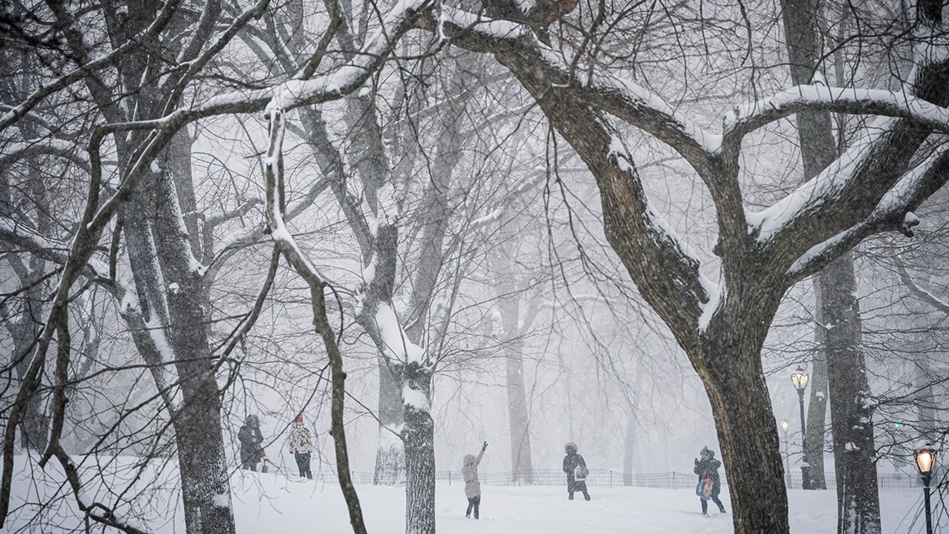 People take photos in Central Park during a snowstorm, Monday, Feb. 1, 2021, in New York. (AP Photo/Wong Maye-E)