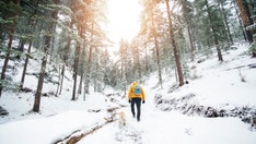 Dog stays in freezing alpine foothills with injured Italian hiker for 7 nights