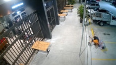 Grandma chases down, tackles thief who stole her purse