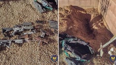 Arizona homeowners planting tree in backyard find buried duffel bag filled with guns: police
