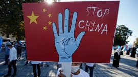 US 'deeply disturbed' by accusations of systematic rape, abuse of Muslims in China camps: report