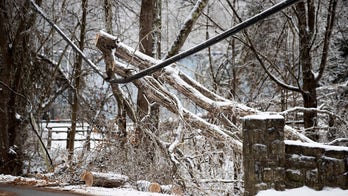 Texas utility customer files $1B lawsuit against Griddy after electric bill tops $9,000