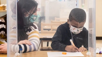 Chicago students dying in shootings at record rate before reaching high school: report