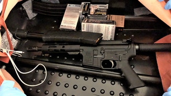 TSA lists guns, suspicious devices and a dead shark among its 'Top 10 Catches' of 2020