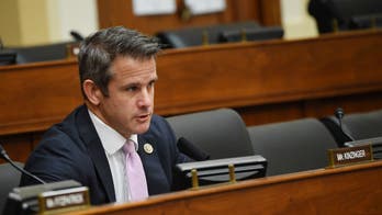 Illinois Democrats draw fire for 'gerrymandered' map in redistricting battles