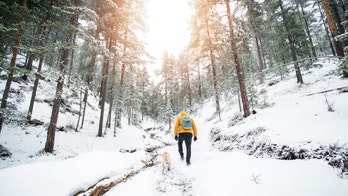 Dog stays in freezing alpine foothills with injured Italian hiker for 7 nights