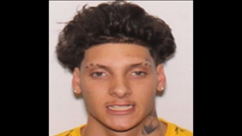 Florida manhunt underway for 'violent' suspect who shot at detective, officials say