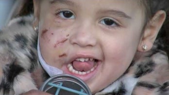 Texas dog owner charged after pet mauled 3-year-old girl at restaurant, reports say