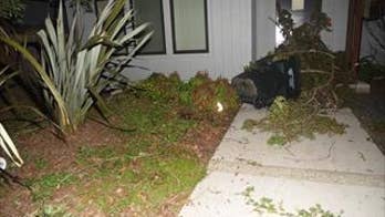 Sacramento mayor condemns protesters who vandalized his home