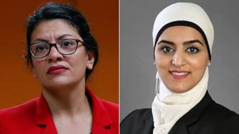 Tlaib backing left-wing DA candidate who wants 20-year sentence cap, says prosecution 'inherently harmful'