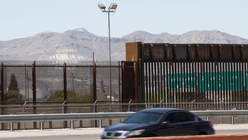ICE nearly released sex abuse convicts after confusion over Biden's 'release them all' memo