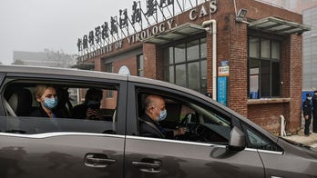 Sen. Ernst targets group, which funded Wuhan lab suspected as COVID origin, with grant accountability bill