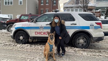 Chicago community rallies to find lost dog